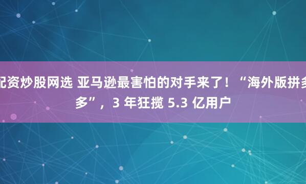 配资炒股网选 亚马逊最害怕的对手来了！“海外版拼多多”，3 年狂揽 5.3 亿用户