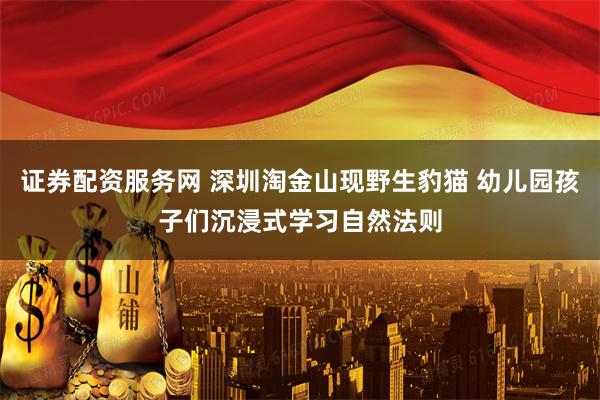 证券配资服务网 深圳淘金山现野生豹猫 幼儿园孩子们沉浸式学习自然法则